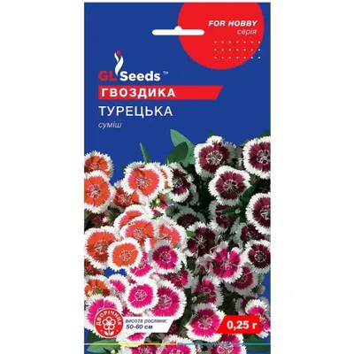 Гвоздика Турецька 0,5 г 95107 GL SEEDS
