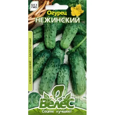 Огірок Ніжинський 1 г 1314 Велес