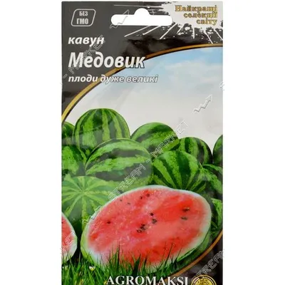Кавун Медовик 2 г 99357 Агромаксі