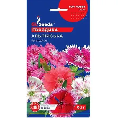 Гвоздика Альпійська багаторічна 0,1 г 5681 GL SEEDS