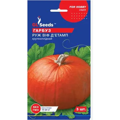 Гарбуз Руж Віф дЕтамп  5 шт 5490 GL SEEDS