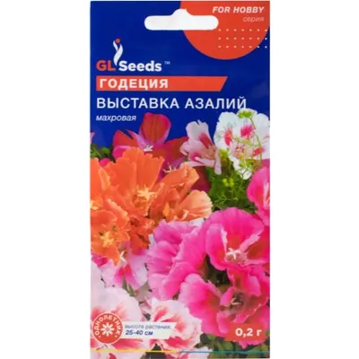 Годеція Виставка азалій 0,2 г 3419 GL SEEDS