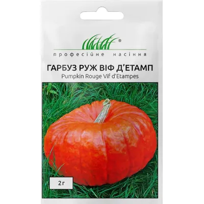 Проф насіння Гарбуз Руж Віф д'Етамп 10 шт. 10091