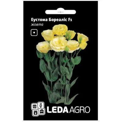Еустома Бореаліс F1 жовта 5 шт LEDAAGRO 99603