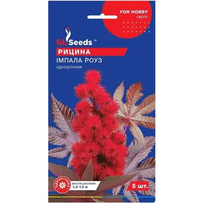 Рицина (клещевина) Імпала Роуз 5 шт 95191 GL SEEDS