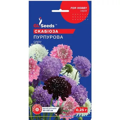 Скабіоза Пурпурова 0,25 г 10947 GL SEEDS