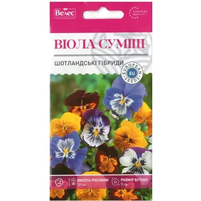 Віола Шотландські гібріди дворічна  0,1 г 95142 Велес