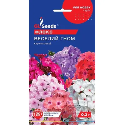 Флокс Веселий гном 0,2 г 3448 GL SEEDS