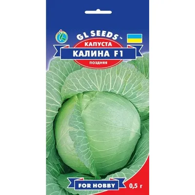 Капуста Калина  F1  0.5гр 5148 GL SEEDS