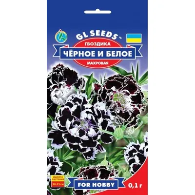Гвоздика Чорне та біле 0,1 г 3350 GL SEEDS