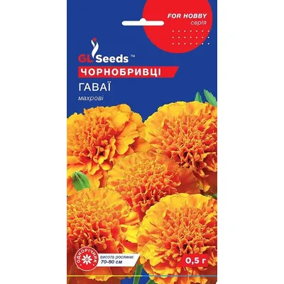 Чорнобривці  Гаваї  0,5 г 5704 GL SEEDS