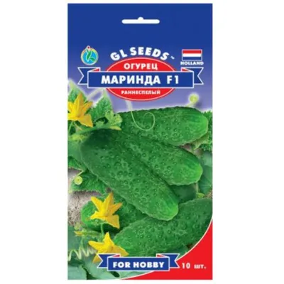 Огірок Марінда  F1  10 шт 5201 GL SEEDS