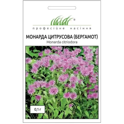 Проф насіння Монарда цитрусова Бергамот 0,1 г. 7121