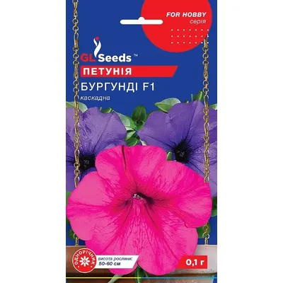 Петунія Бургунді  0,1гр 3397 GL SEEDS