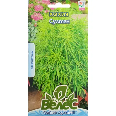 Кохія Султан 0,5 г 95200 Велес