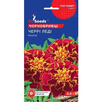 Чорнобривці  Черрі Леді 0,5 г 5716 GL SEEDS