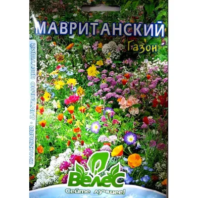 Мавританський газон 20 г 99435 Велес