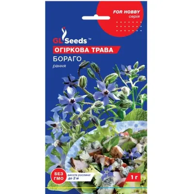 Огіркова трава Бораго 1 г. 00068 GL SEEDS