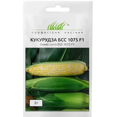 Проф насіння Кукурудза БСС 1075 F1 2г 00185