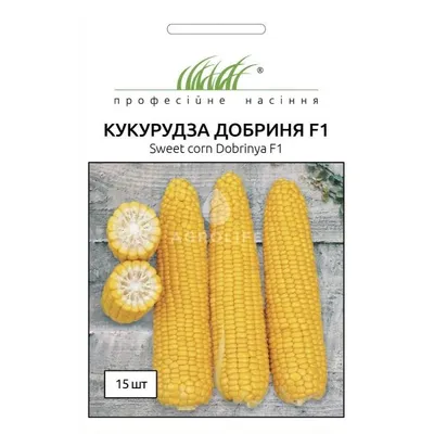 Проф насіння кукурудза Добриня 2 г 100113