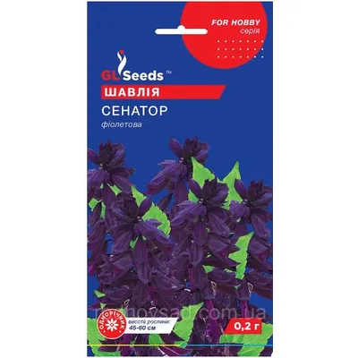 Шавлія Сенатор 0,2 г 3451 GL SEEDS