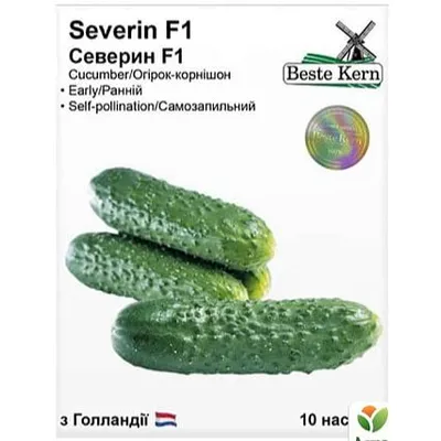 Огірок Severin  F1 10 шт 10211 Beste Kern