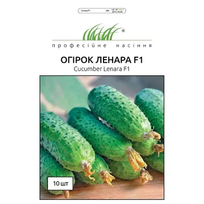 Проф насіння Огірок Ленара  F1 , 10 шт. 10070