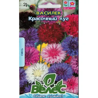 Волошка багаторічна Барвистий луг  0,2 г 95136 Велес