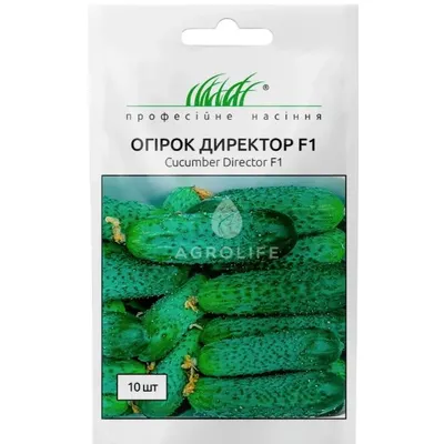 Проф насіння Огірок Директор F1 , 10 шт. 10061