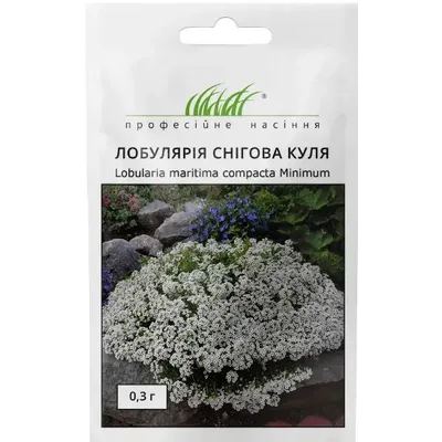 Проф насіння Лобулярія (аліссум)  Снігова куля 0,3г 00207