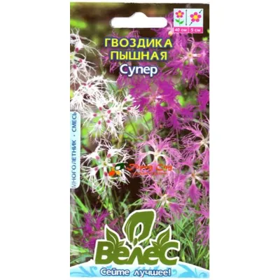 Гвоздика пишна Супер 0,2 г 95163 Велес