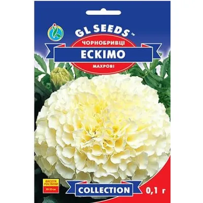 Чорнобривці Ескімо 0,1 г 5724 GL SEEDS