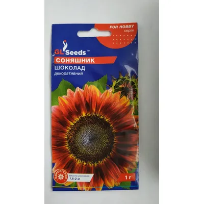 Соняшник Шоколад 1 г. 00058 GL SEEDS