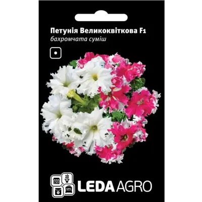 Петунія Великоквіткова  F1 бахромчата  суміш 10 шт LEDAAGRO 99593