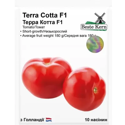 Томат Terra Kotta F1 10 шт 10592 Beste Kern