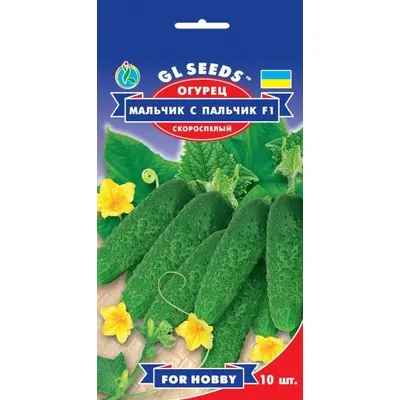 Огірок Хлопчик з  пальчик  F1  10шт 5202 GL SEEDS