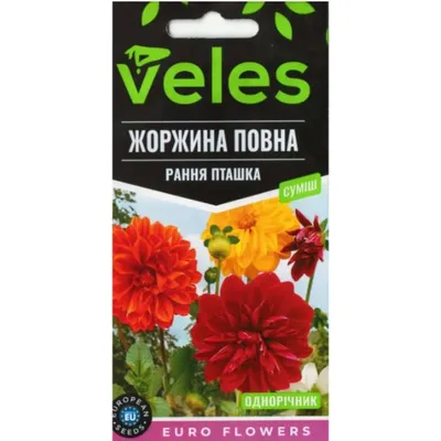 Жоржина  Рання пташка 0,3 г однорічна 100319 Велес