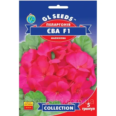 Пеларгонія Єва F1 5 гранул 95243 GL SEEDS