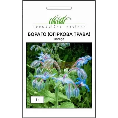 Проф насіння Бораго огіркова трава 1г 00221