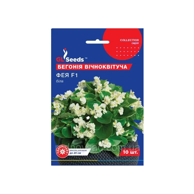 Бегонія Фея  F1 біла 10 шт 95280 GL SEEDS 