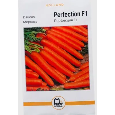 Голандія Морква Перфекція  F1  10  гр. 01059