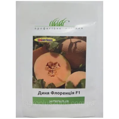 Проф насіння Диня Флоренція F1.  1 шт.(фас) 6854