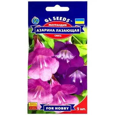 Маурандія Азарина витка суміш 5 шт 3460 GL SEEDS