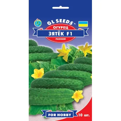 Огірок Зятьок F1  10шт 5208 GL SEEDS