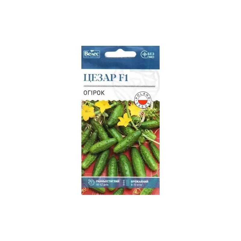 Огірок Цезар  F1  0,5г 100251 Велес 