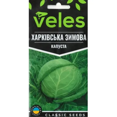 Капуста Харьківська зимова  1 гр 5162 Велес