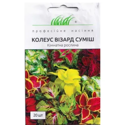 Проф насіння Колеус Візард суміш 20шт. 10284