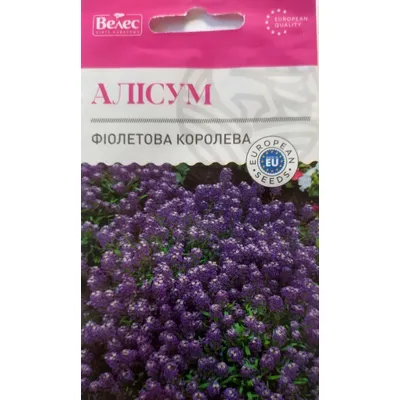Алісум Фіолетова  королева 0,2 г 3457 Велес