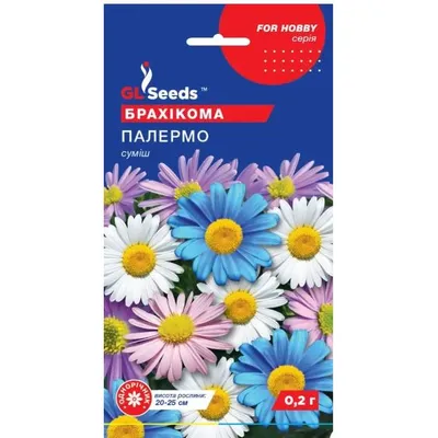 Брахікома Палермо суміш 0,2 г 99453 GL SEEDS