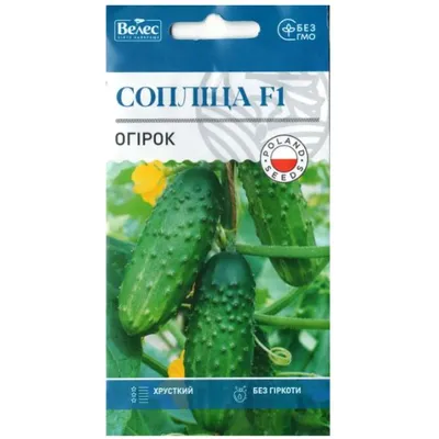 Огірок Cопліца  F1  0,5г 100250 Велес